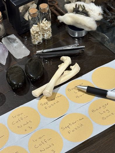 1 x 30 Day Adult Oddity Birthday Calendar Bones Crystals & Curio Jewelry Gothic Countdown Box Witchy Curiosity Gift Set