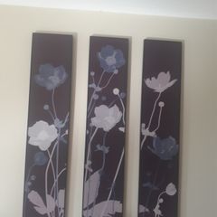 Pictures/Three Canvas Prints .. Price Drop