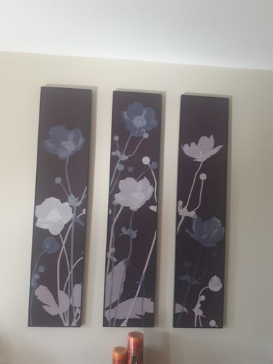 Pictures/Three Canvas Prints .. Price Drop