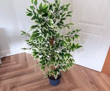 Artificial Weeping Fig Tree 120cm Height