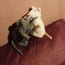 toys Image 3