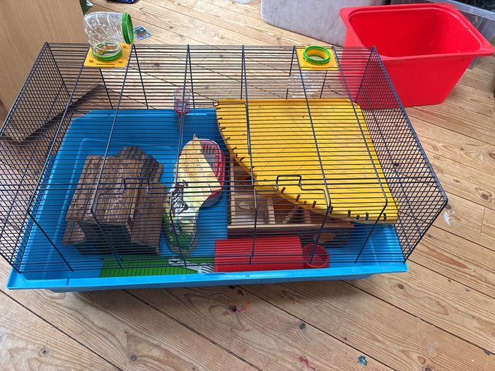 Large hamster cage & accessories