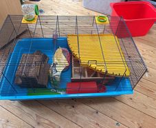 Large hamster cage & accessories