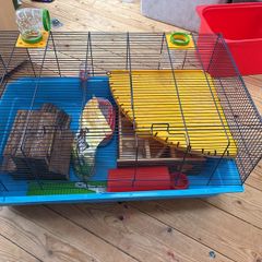 Large hamster cage & accessories