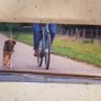 AniOne Dog Lead Image 3