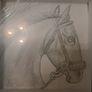 Infinity Art animal collection Image 7