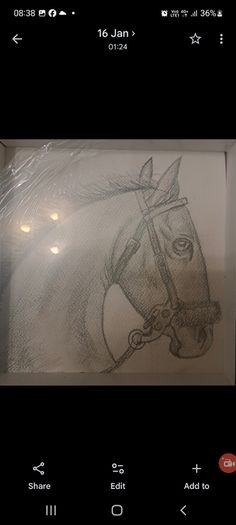 Infinity Art animal collection