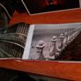Venice book Image 4
