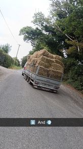 small square hay bales