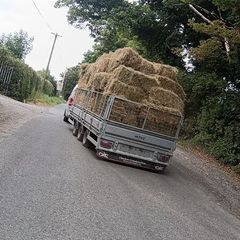 small square hay bales