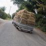 Silage bales and small square hay bales Image 3