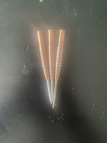 darryl fitton darts