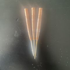 darryl fitton darts