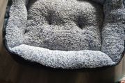 dog bed large