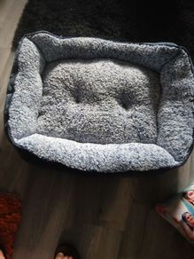 dog bed large