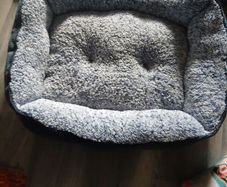dog bed large