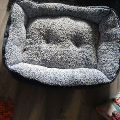dog bed large