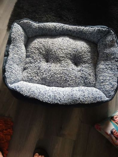 dog bed large