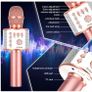 Karaoke Wireless Microphone Image 2