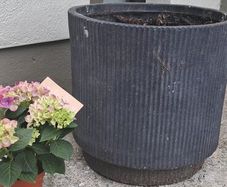 planter