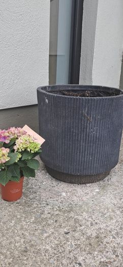 planter