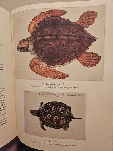 The First Colonists. Hakluyt's Voyage To North America. Introduction By A.l.rowse. All 16 Watercolours By John White. First Edition Second Print Large Volume Hardback In Good Condition   See Photos For Same.