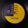 Chase Take My Soul 1994 Italian 12 Vinyl Deep Blaze DB015 Image 3