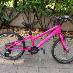 Girls Pink Merida Bike