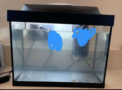 Fish Tank, cleaning bowl, ideal starter pack