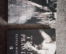 Polish books