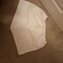 Canterbury rugby white shorts adult large Image 2