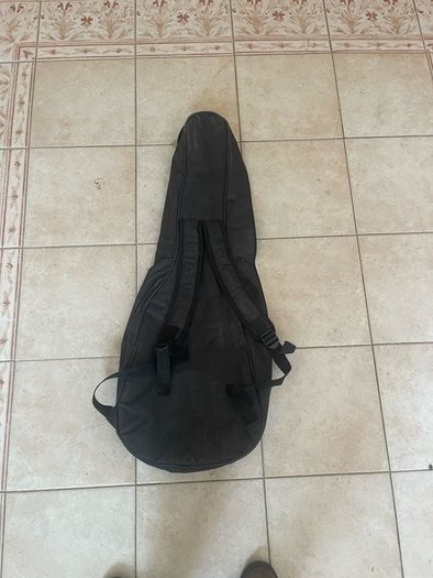 Brunswick mandola case