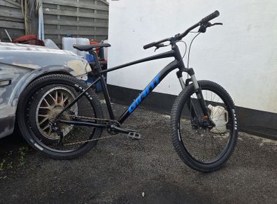 Mountain bike