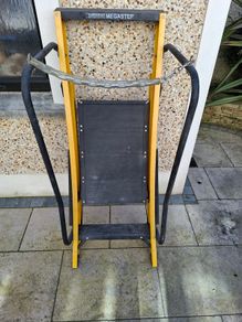 Megastep platform ladder