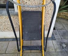 Megastep platform ladder