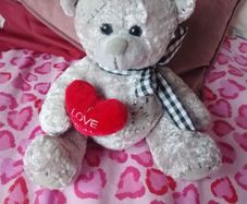 teddy bear
