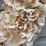 2 x Music notes wreaths Image 4