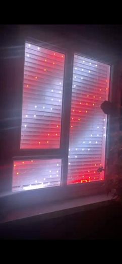 twinkly lights