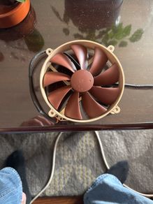 Noctua NF-P 14 fan