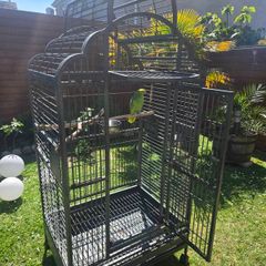 Large parrot cage