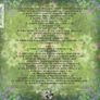 the ORB  -  orboretum     CD Image 2