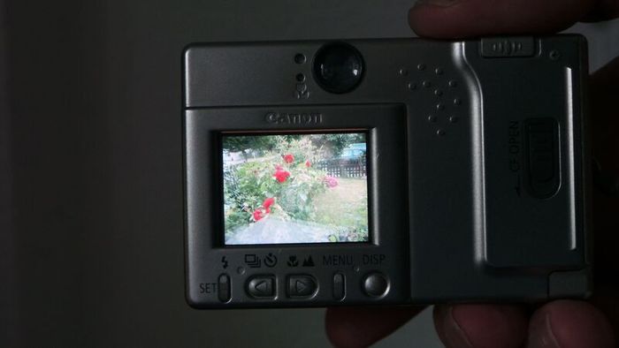 Canon Digital IXUS compact digital camera