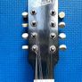 Levin Mandolin Image 2