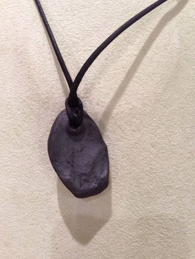 Coyote Totem Energy Stones Necklace.