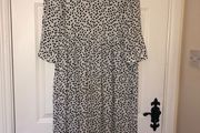 zara polka dot dress