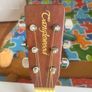 left hand acoustic Image 3