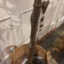 Very large beautiful faux olive tree Image 6