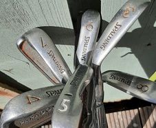 spalding paradox irons