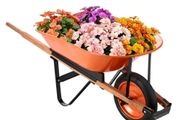 Load &amp; 330 lbs Capacity, One Wheel Garden Dump Cart, Garden Wagon with Metal Handle &amp; 16" Wide Track Wheels, Easy Loading Utility Yard Cart &amp; Wagons for Lawn Farm