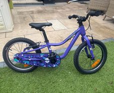 Ridgeback MX16 Purple - 3 weeks old